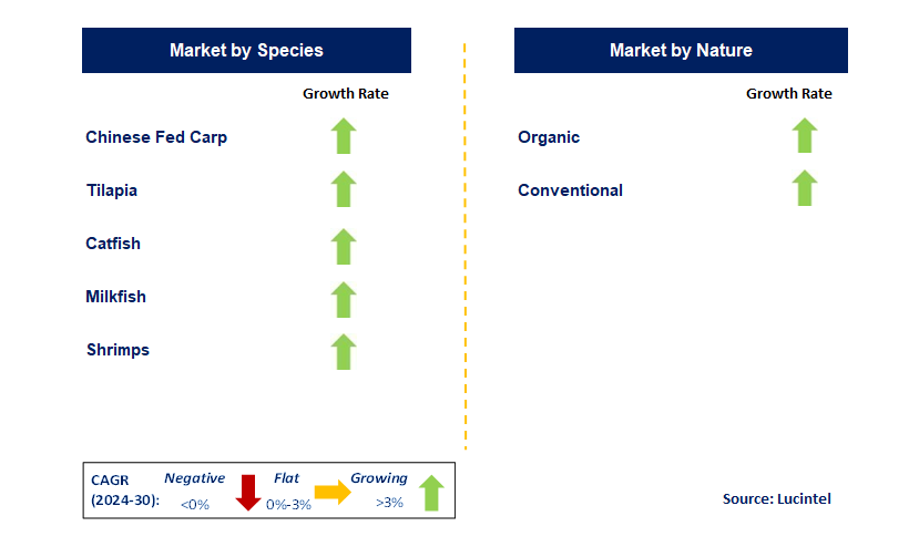 Warm Water Aquaculture Feed by Segment