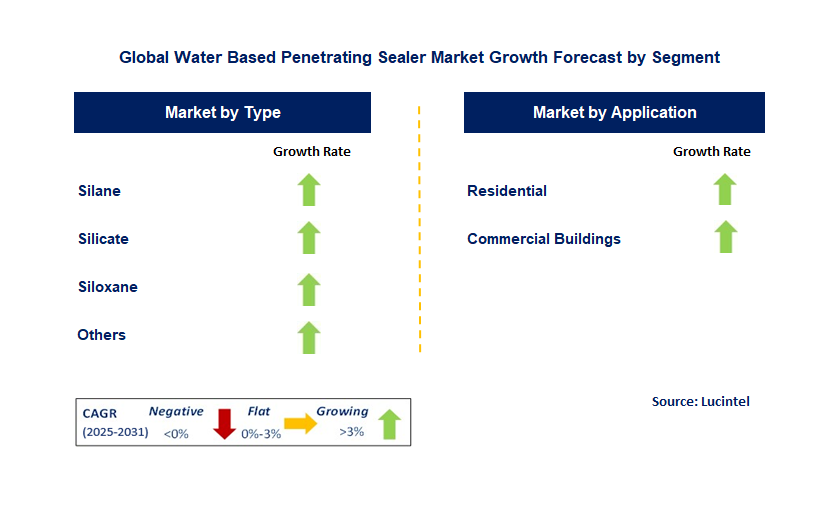 Water Based Penetrating Sealer Market by Segment