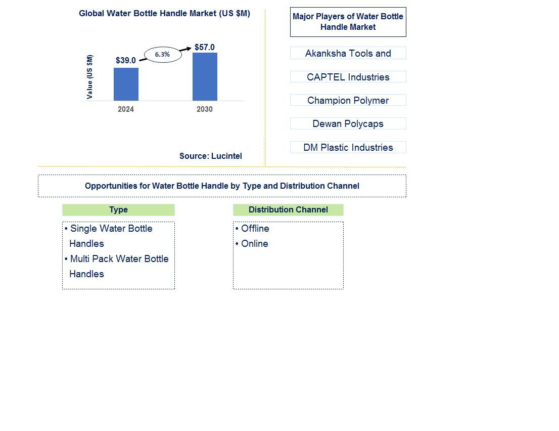 Water Bottle Handle Trends and Forecast