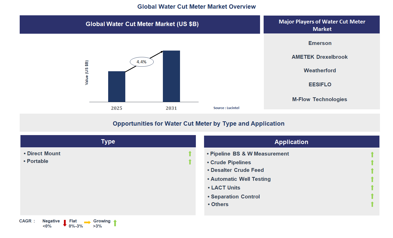 Water Cut Meter Market Trends and Forecast