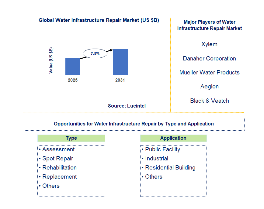 Water Infrastructure Repair Market Trends and Forecast