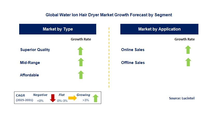 Water Ion Hair Dryer Market by Segment