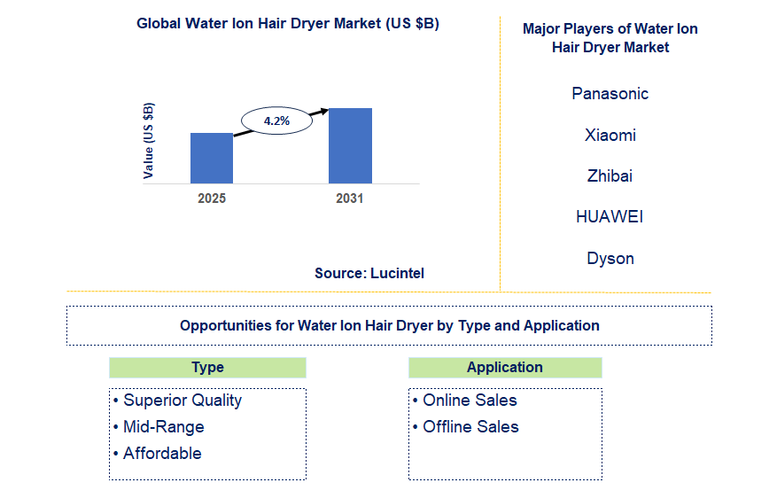 Water Ion Hair Dryer Market Trends and Forecast