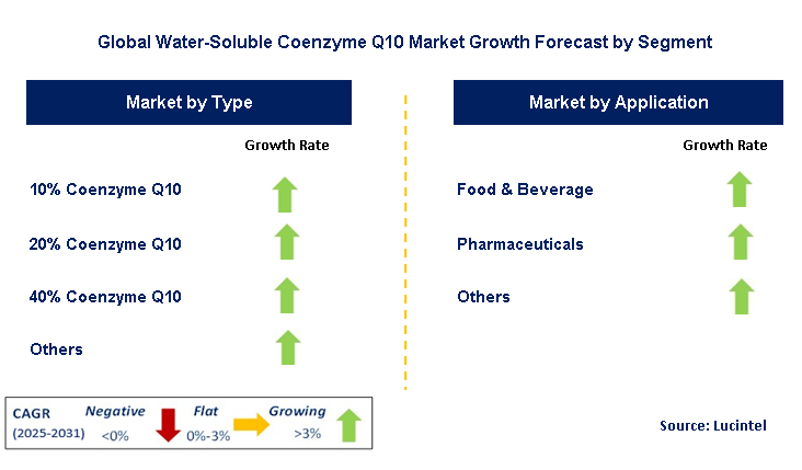 Water-Soluble Coenzyme Q10 Market by Segment