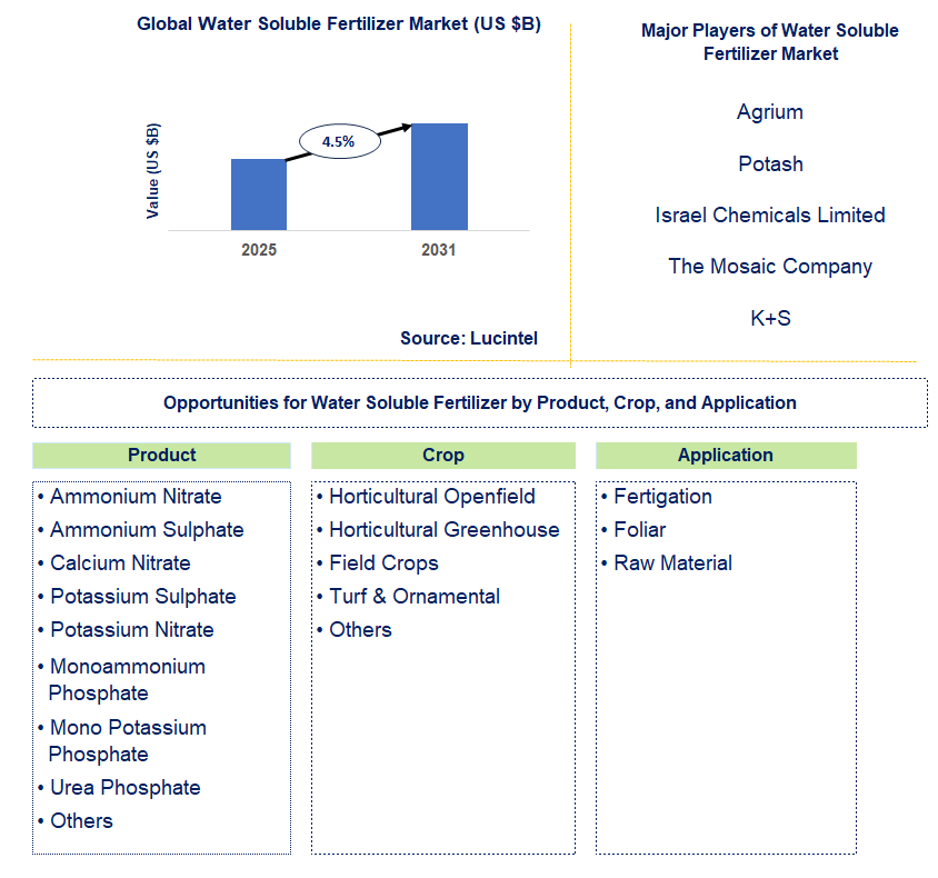Water Soluble Fertilizer Market Trends and Forecast