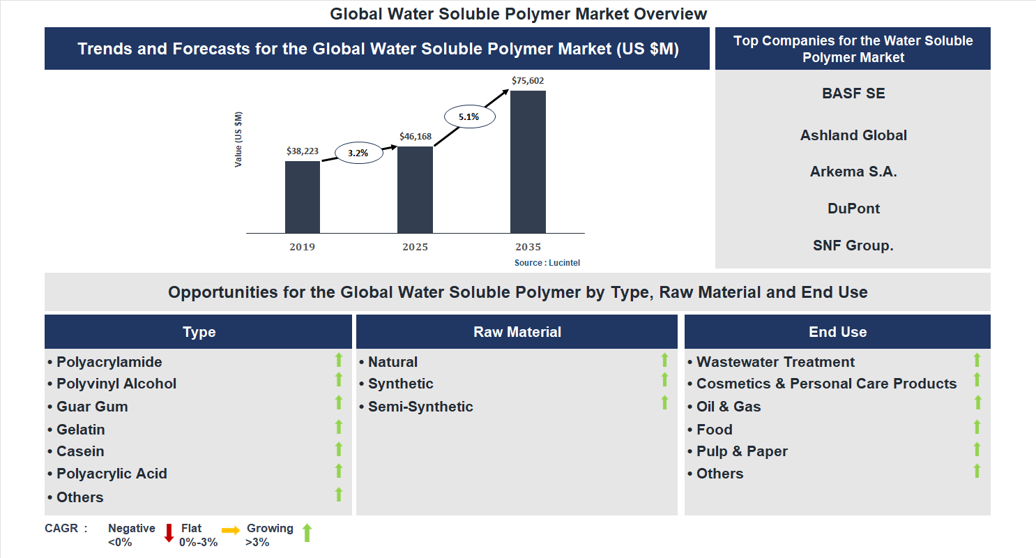 Water Soluble Polymer Market Trends and Forecast