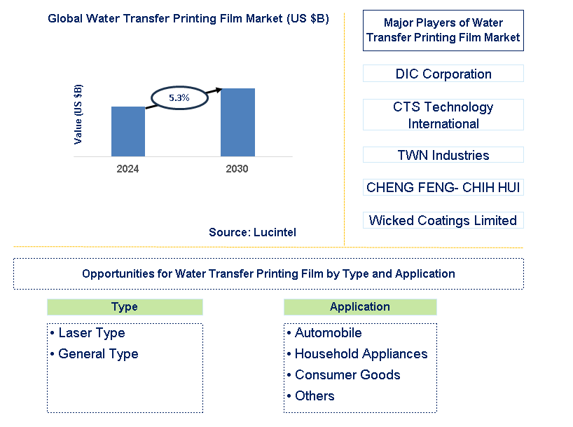 Water Transfer Printing Film Trends and Forecast