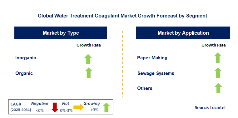 Water Treatment Coagulant Market by Segment