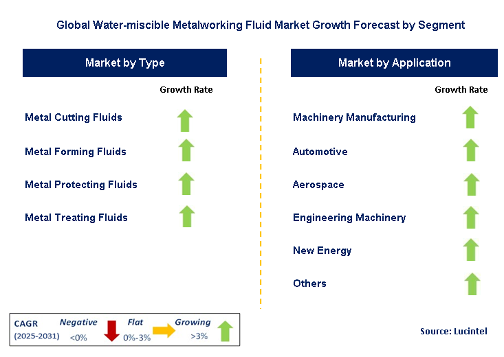 Water-miscible Metalworking Fluid Market by Segment
