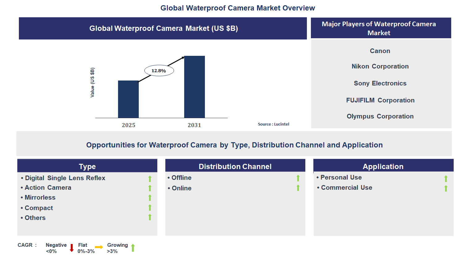 Waterproof Camera Market Trends and Forecast