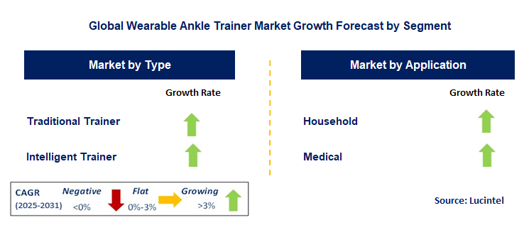 Wearable Ankle Trainer Market by Segment
