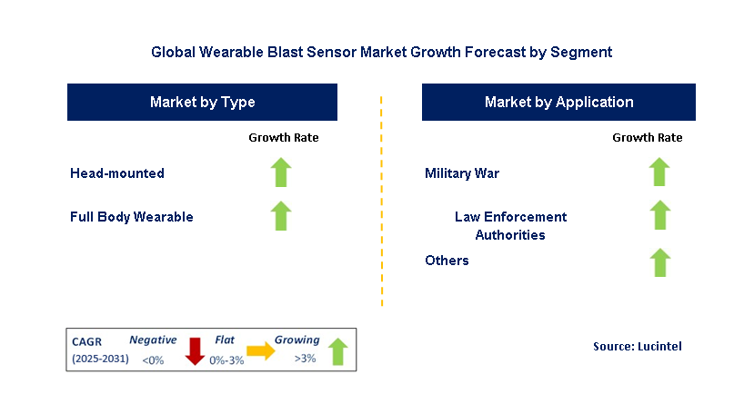 Wearable Blast Sensor Market by Segment
