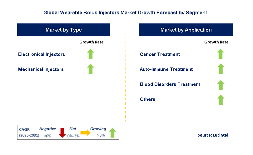 Wearable Bolus Injectors Market by Segment