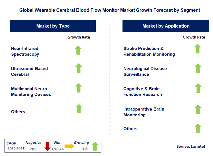 Wearable Cerebral Blood Flow Monitor Market by Segment