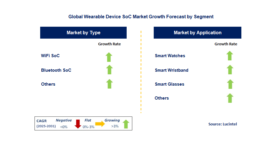 Wearable Device SoC Market by Segment