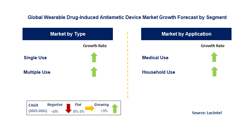 Wearable Drug-Induced Antiemetic Device Market by Segment