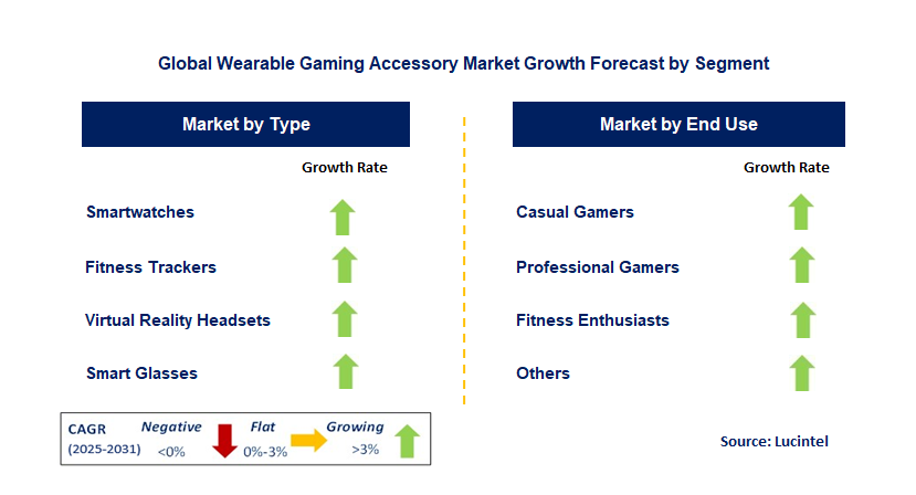 Wearable Gaming Accessory Market by Segment