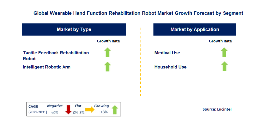Wearable Hand Function Rehabilitation Robot Market by Segment