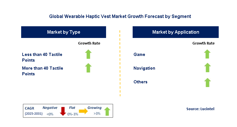 Wearable Haptic Vest Market by Segment