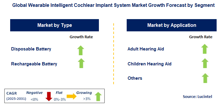 Wearable Intelligent Cochlear Implant System Market by Segment
