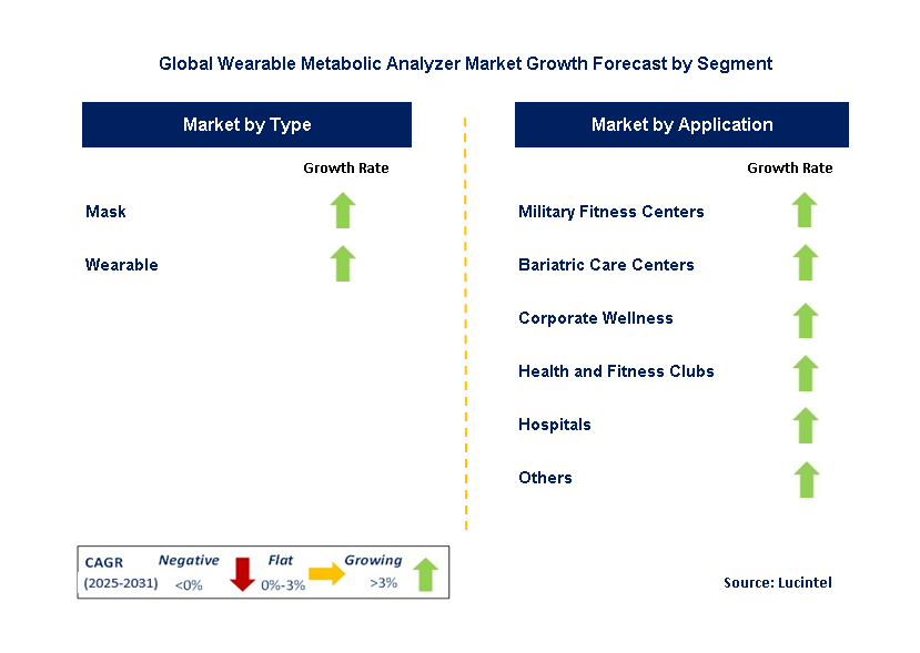 Wearable Metabolic Analyzer Market by Segment