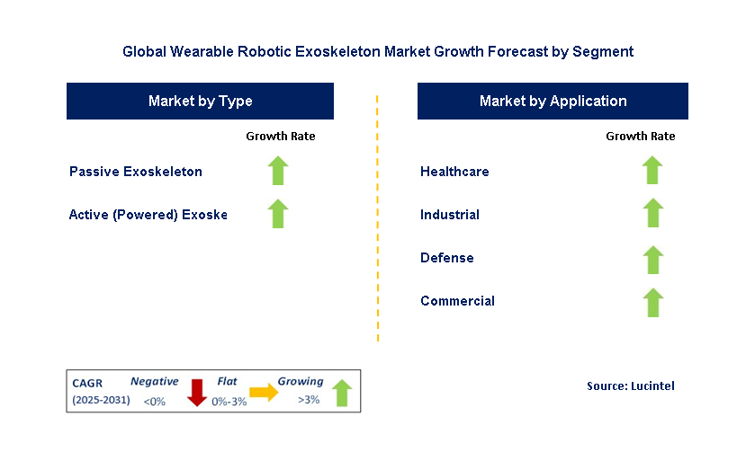 Wearable Robotic Exoskeleton Market by Segment