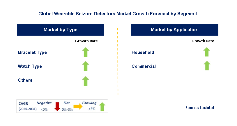 Wearable Seizure Detectors Market by Segment