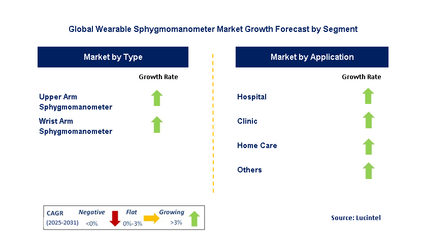 Wearable Sphygmomanometer Market by Segment