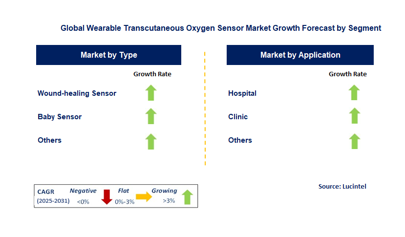 Wearable Transcutaneous Oxygen Sensor Market by Segment