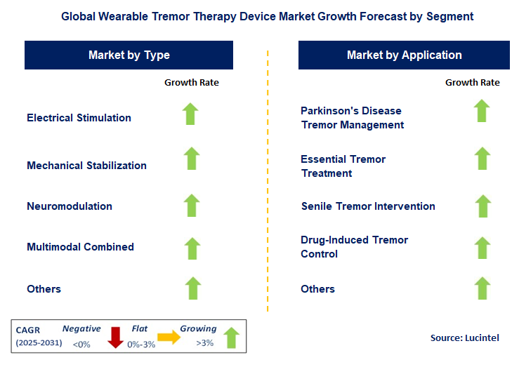 Wearable Tremor Therapy Device Market by Segment