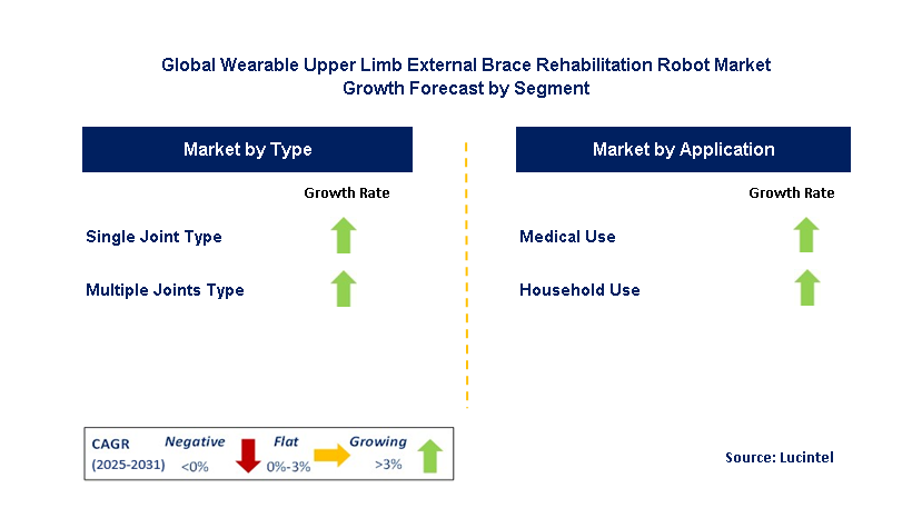 Wearable Upper Limb External Brace Rehabilitation Robot Market by Segment
