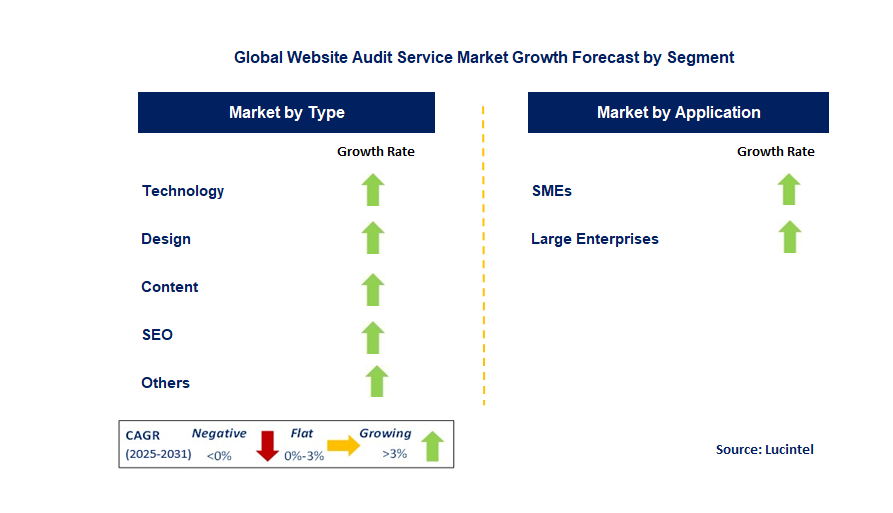 Website Audit Service Market by Segment