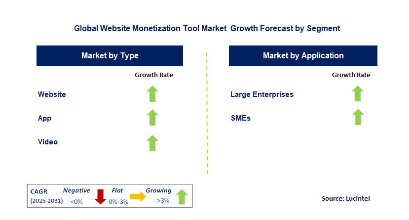 Website Monetization Tool Market by Segment