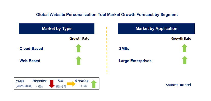 Website Personalization Tool Market by Segment