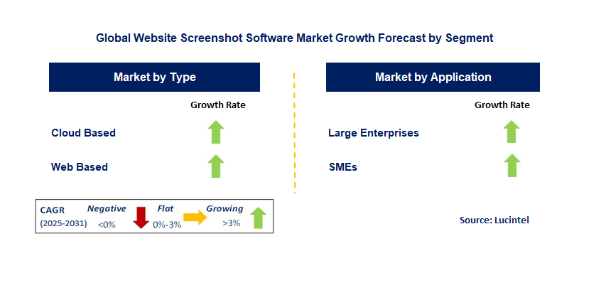 Website Screenshot Software Market by Segment
