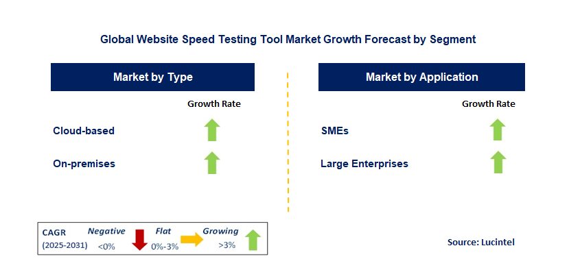 Website Speed Testing Tool Market by Segment