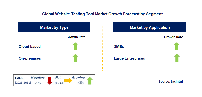 Website Testing Tool Market by Segment