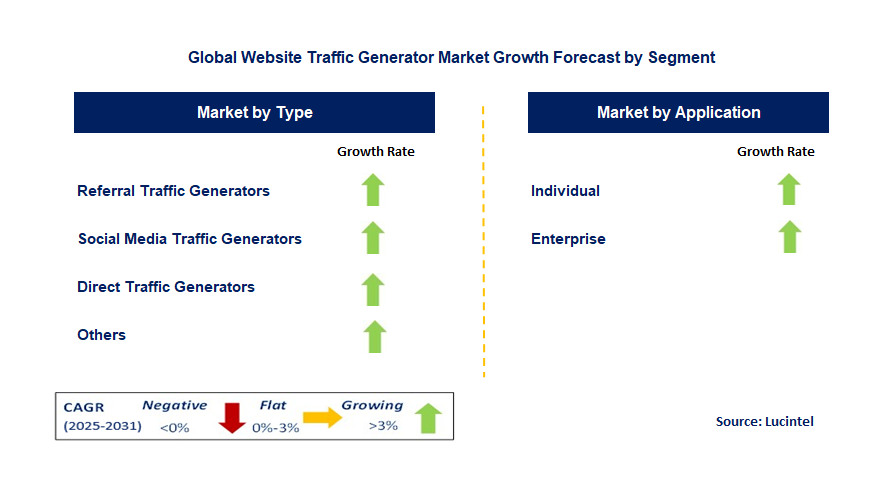 Website Traffic Generator Market by Segment