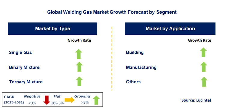 Welding Gas Market by Segment