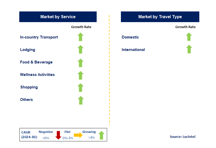 Wellness Tourism by Segment