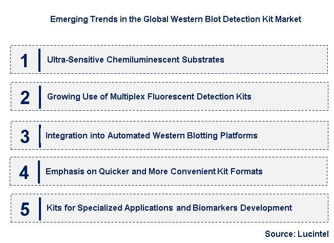 Emerging Trends in the Western Blot Detection Kit Market