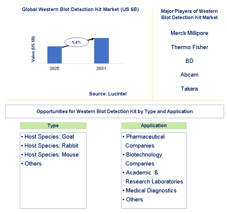 Western Blot Detection Kit Market Trends and Forecast