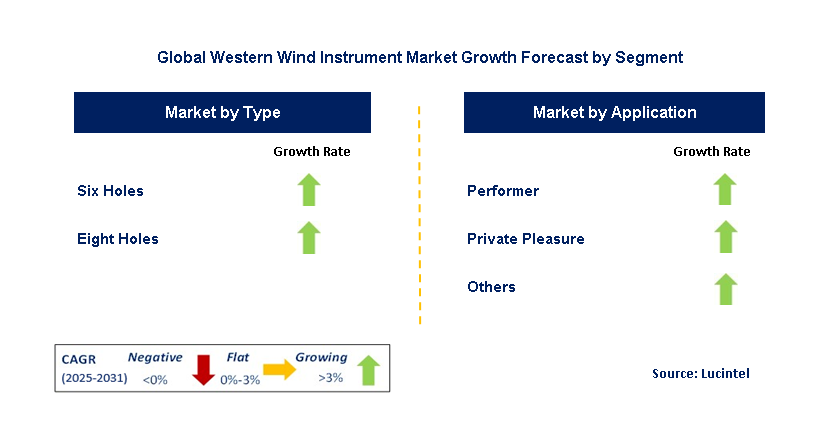 Western Wind Instrument Market by Segment