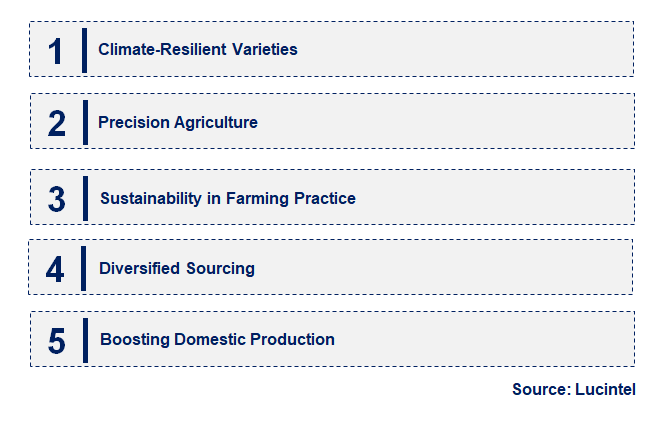 Emerging Trends in the Wheat Market