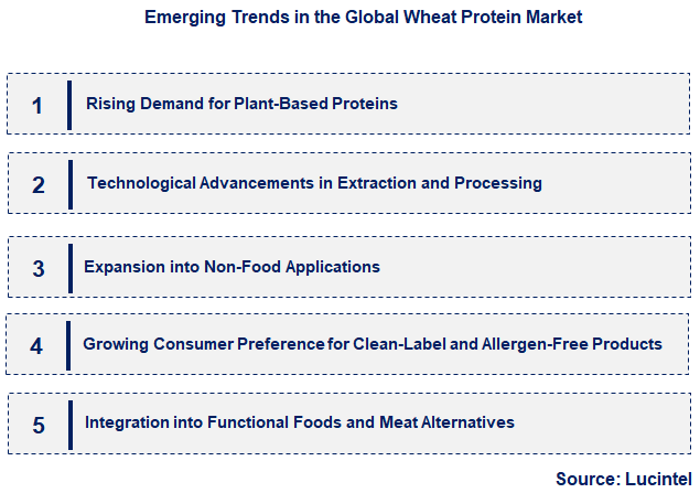 Emerging Trends in the Wheat Protein Market