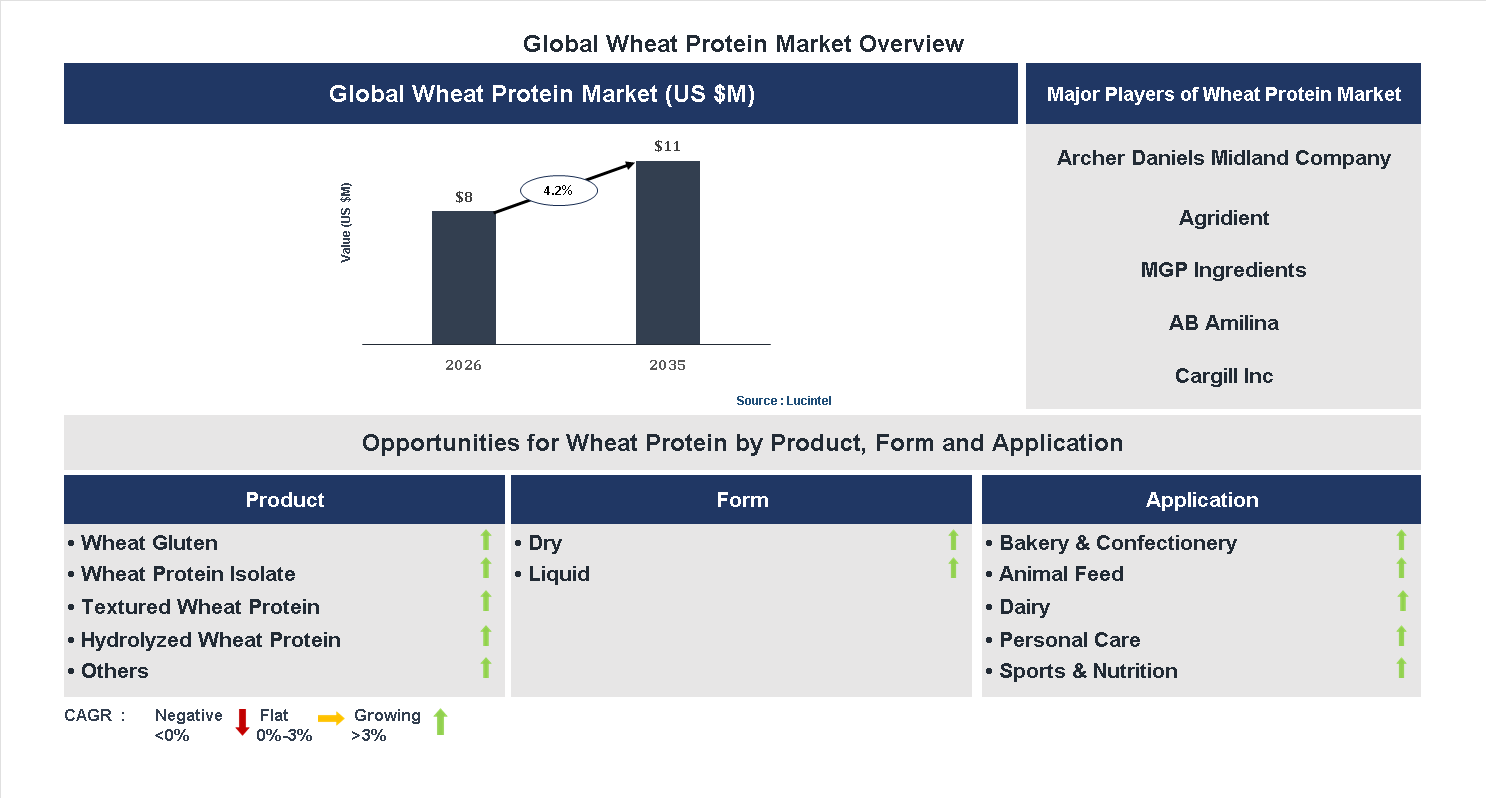 Wheat Protein Market Trends and Forecast