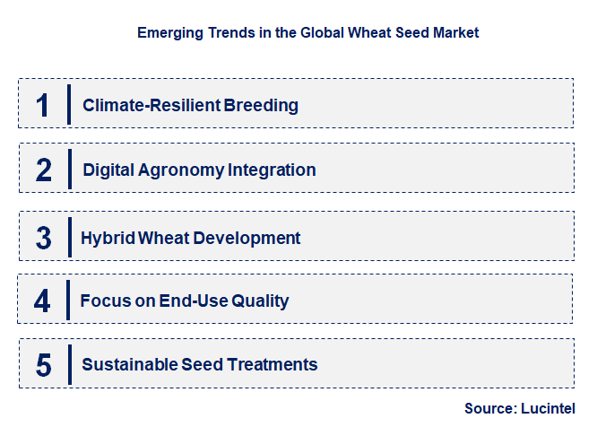Emerging Trends in the Wheat Seed Market