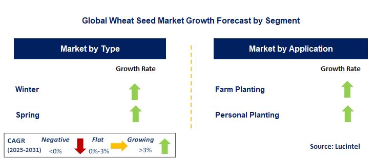 Wheat Seed Market by Segment