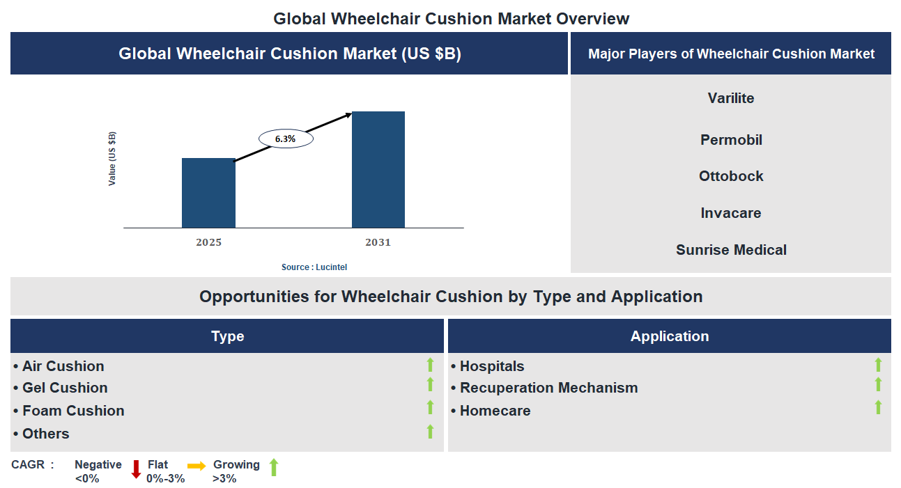 Wheelchair Cushion Market Trends and Forecast