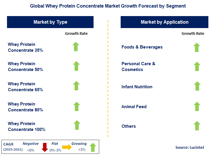 Whey Protein Concentrate Market by Segment